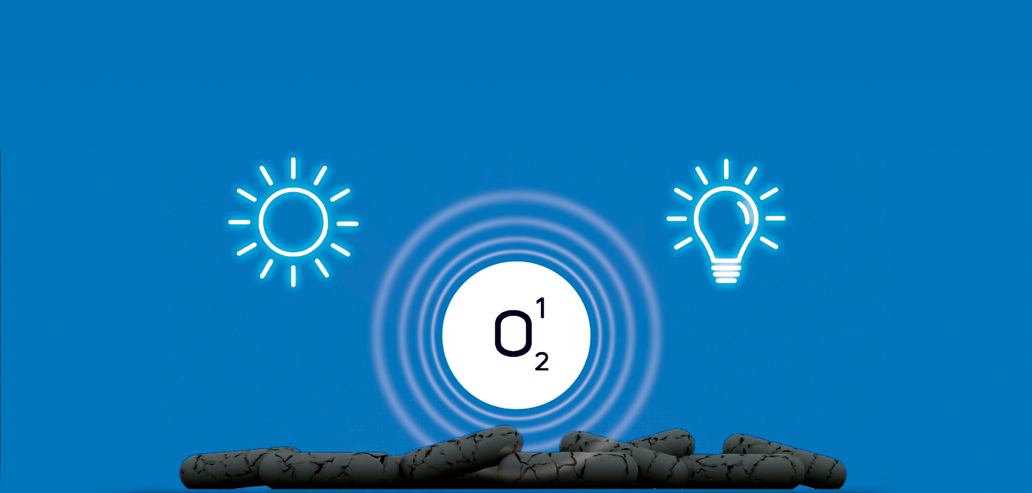 01 virobac-action-O2-1