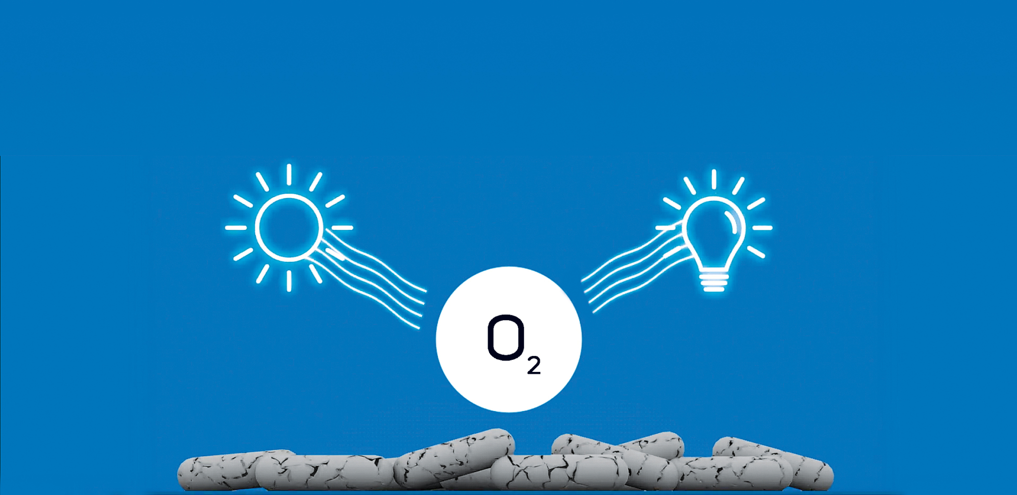 01 virobac-action-O2-2